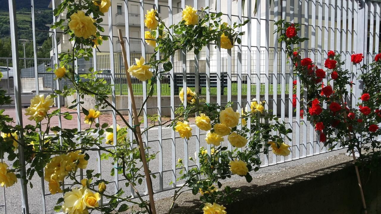 板球之家2号住宿加早餐旅馆 奥斯塔 外观 照片